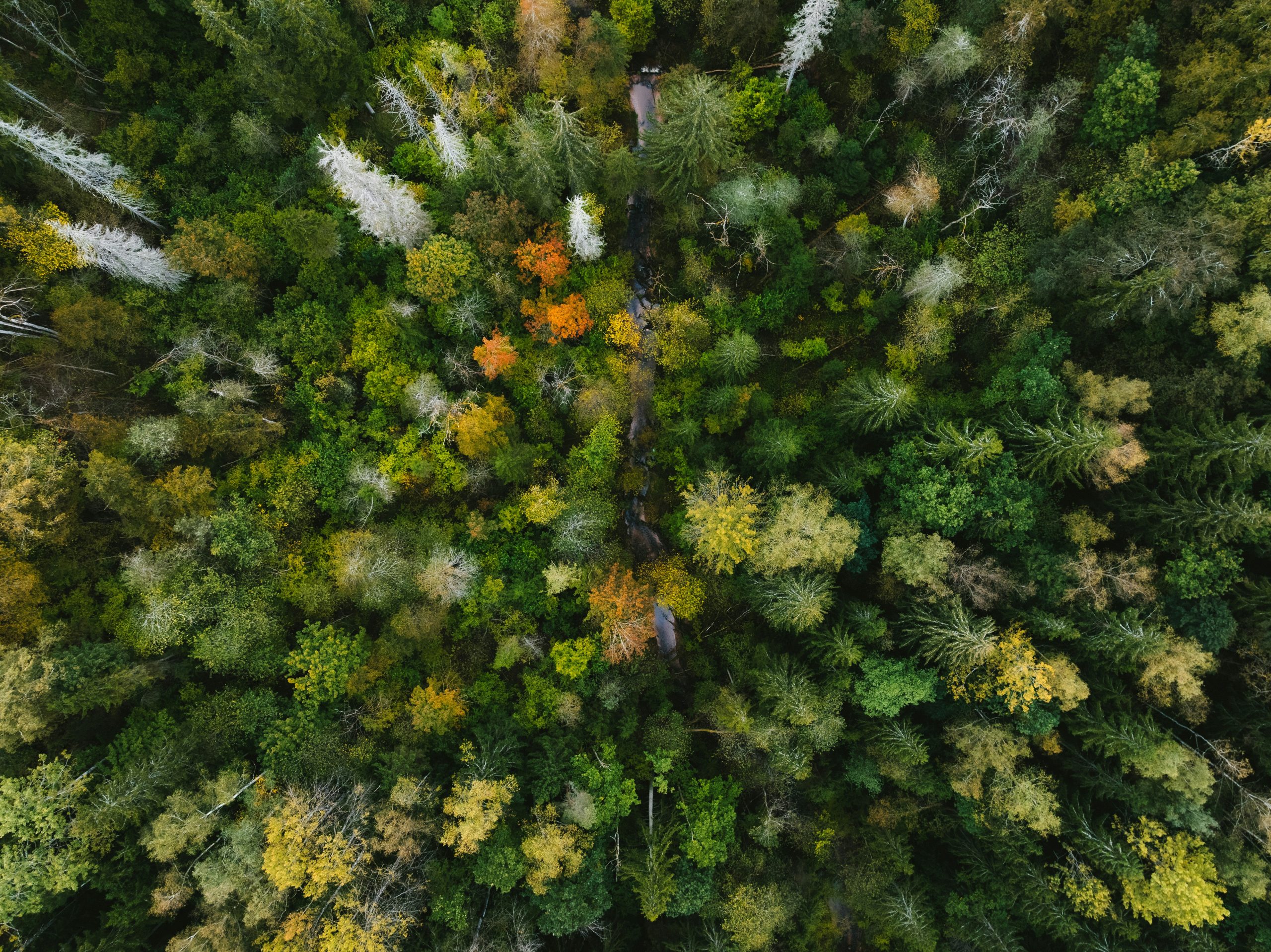kristaps-ungurs-owcJsiIK7UU-unsplash